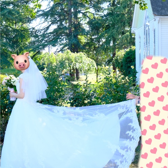 Simple Lace V-neck Train Wedding Dress/ French Tulle Bohemian Wedding Dress - Picture 7 of 12